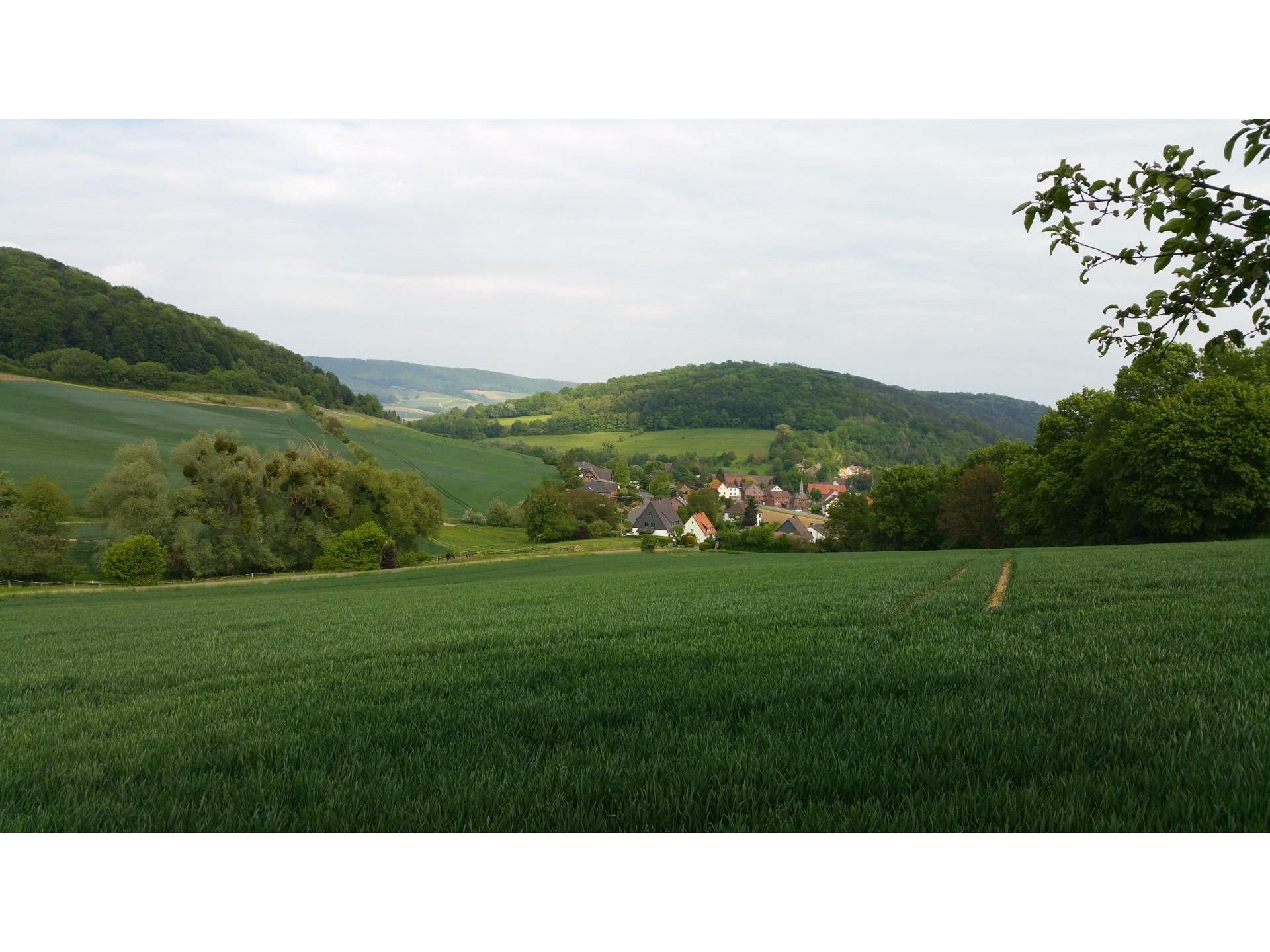 Umgebung zum Wandern